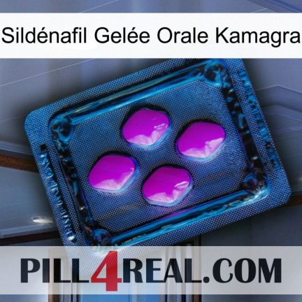 Sildénafil Gelée Orale Kamagra 04